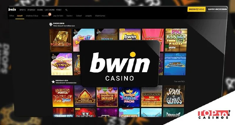Bwin India Guide — How the cricket menu is organised on an Android phone